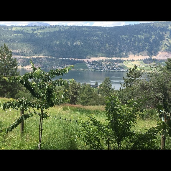 Meet your Posher, Angela - Picture 1 of 1